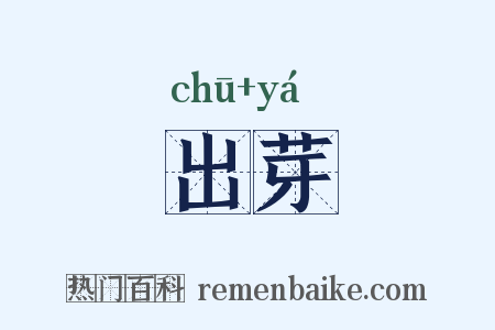 出芽是什么意思的图片
